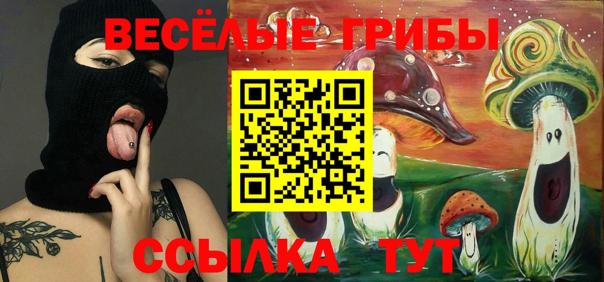 Псилоцибиновые грибы Cubensis Королёв