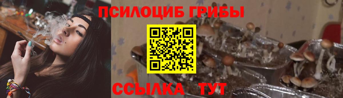 КОКАИН  Королёв  Экстази  ГАШ  Каннабис  Меф МЯУ МЯУ кристаллы  Вход с VPN 